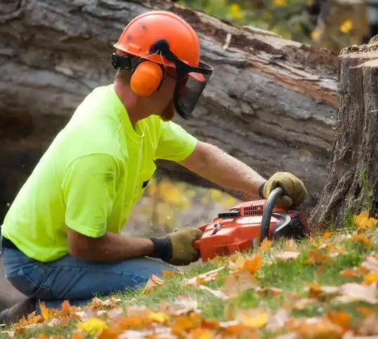 tree services Goodman